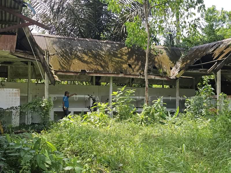 Tanah Pertanian untuk Dijual di Kampung Lubok Kelubi (Hulu Langat) - Adzura Zamedin - PropertyGuru.com.my