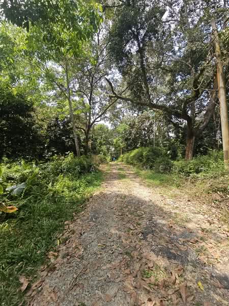 Tanah Pertanian untuk Dijual di Kampung Lubok Kelubi (Hulu Langat) - Adzura Zamedin - PropertyGuru.com.my