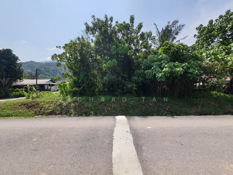 Agricultural Land for Sale in Sungai Rusa (Balik Pulau) - Richard Tan - PropertyGuru.com.my