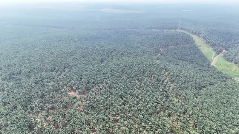 Commercial Land for Sale in Kluang (Johor) - K S Ong - PropertyGuru.com.my