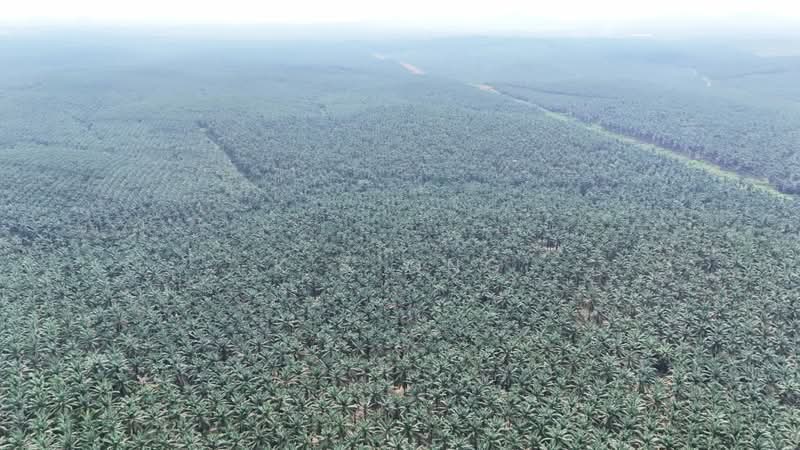 Commercial Land for Sale in Kluang (Johor) - K S Ong - PropertyGuru.com.my