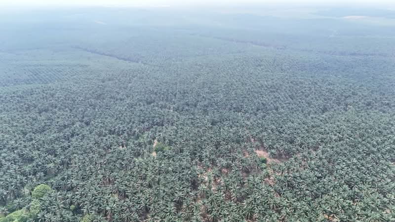 Commercial Land for Sale in Kluang (Johor) - K S Ong - PropertyGuru.com.my