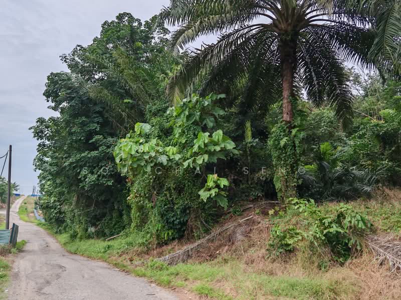 Industrial Land for Sale in Kampung Baru Ban Foo (Ulu Tiram) - Soh Chai Seng - PropertyGuru.com.my