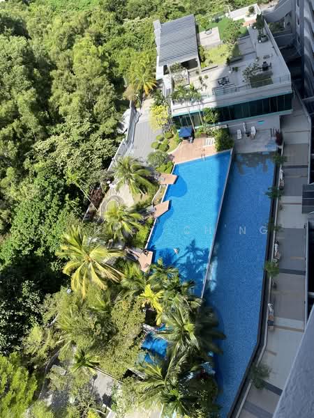 Condominium for Sale at 10 Island Resort - Shirley Ch'ng - Pool - PropertyGuru.com.my