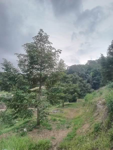 Agricultural Land for Sale in Seremban (Negeri Sembilan) - Halim HP - Garden - PropertyGuru.com.my