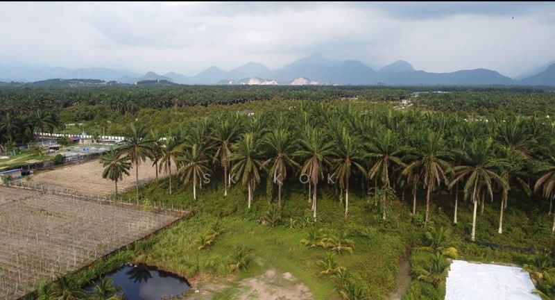 Tanah Pertanian untuk Dijual di Gopeng (Teja) - SK Kok - PropertyGuru.com.my