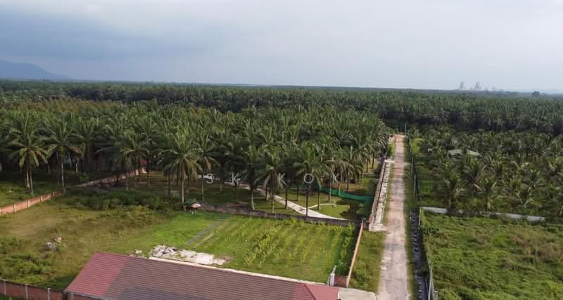 Tanah Pertanian untuk Dijual di Gopeng (Teja) - SK Kok - PropertyGuru.com.my