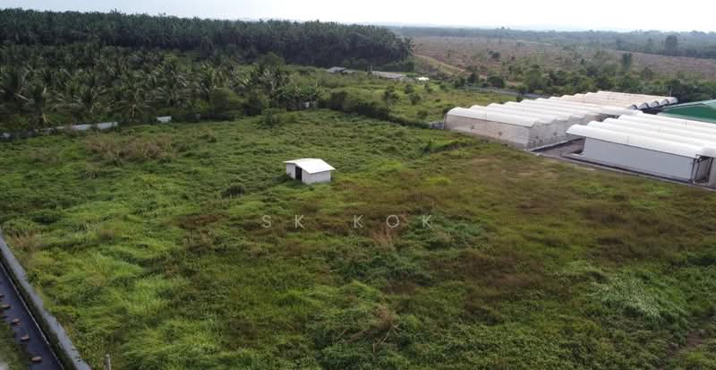 Tanah Pertanian untuk Dijual di Gopeng (Teja) - SK Kok - PropertyGuru.com.my