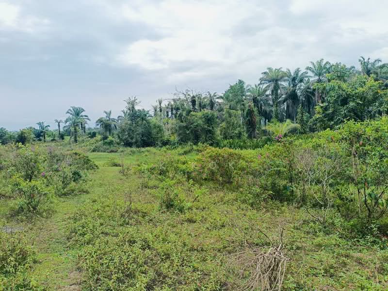 Tanah Pertanian untuk Dijual di Gopeng (Teja) - SK Kok - PropertyGuru.com.my