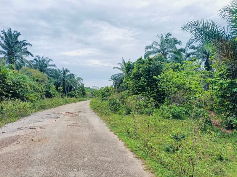 Tanah Pertanian untuk Dijual di Gopeng (Teja) - SK Kok - PropertyGuru.com.my