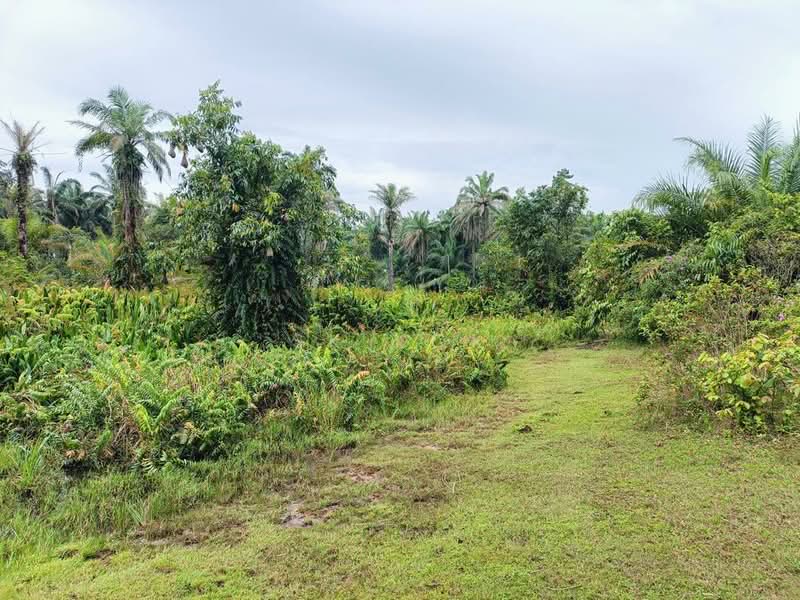 Tanah Pertanian untuk Dijual di Gopeng (Teja) - SK Kok - PropertyGuru.com.my