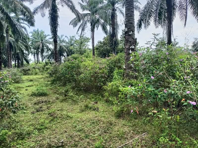 Tanah Pertanian untuk Dijual di Gopeng (Teja) - SK Kok - PropertyGuru.com.my