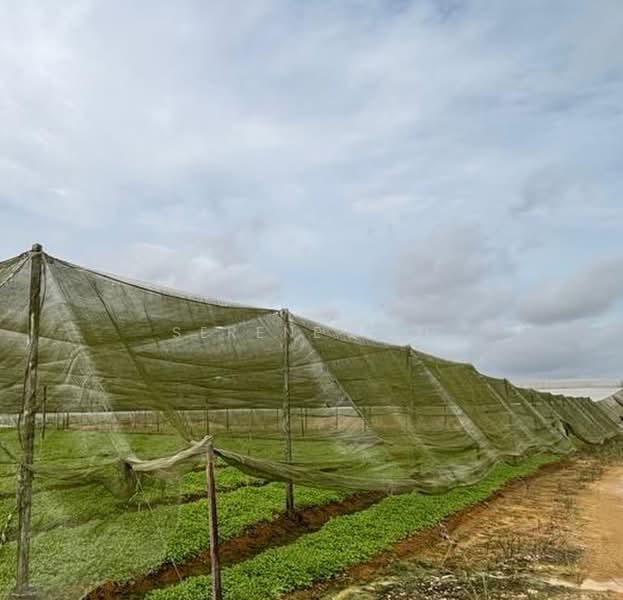 Agricultural Land for Sale in Senai (Kulai) - Serene Teh - Exterior - PropertyGuru.com.my