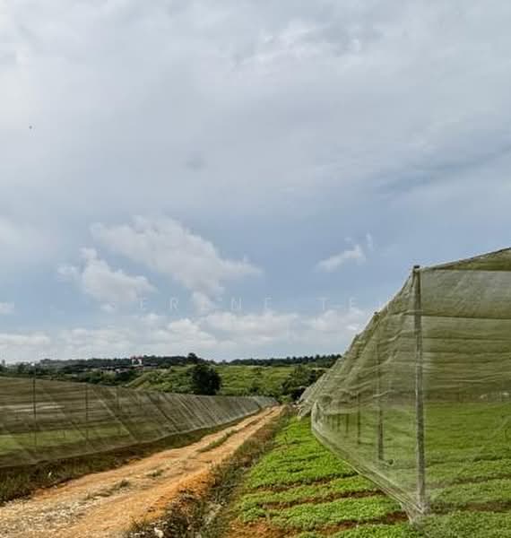 Agricultural Land for Sale in Senai (Kulai) - Serene Teh - Exterior - PropertyGuru.com.my