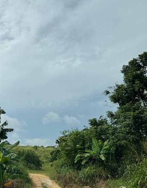 Agricultural Land for Sale in Senai (Kulai) - Serene Teh - PropertyGuru.com.my