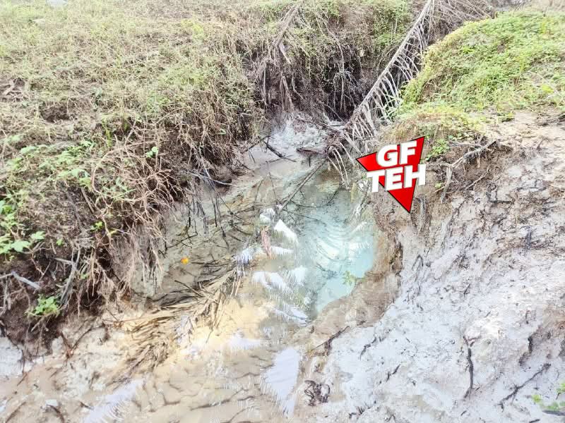 Agricultural Land for Sale in Bandar Baharu (Kedah) - Teh Guan Fong - PropertyGuru.com.my