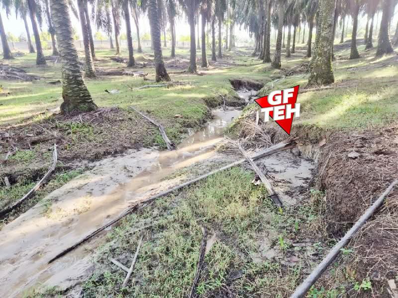 Agricultural Land for Sale in Bandar Baharu (Kedah) - Teh Guan Fong - Exterior - PropertyGuru.com.my