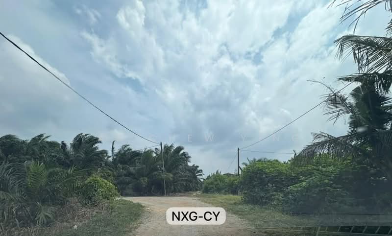 Agricultural Land for Rent in Banting (Banting) - Yap Chew Ying - PropertyGuru.com.my