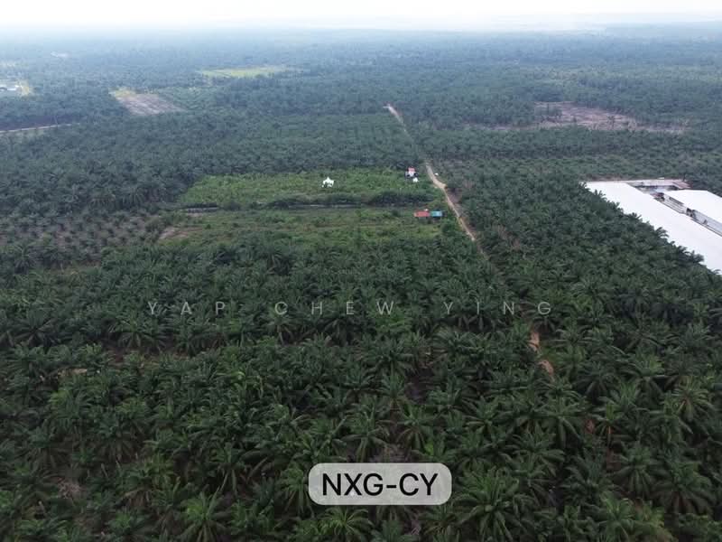 Agricultural Land for Rent in Banting (Banting) - Yap Chew Ying - PropertyGuru.com.my