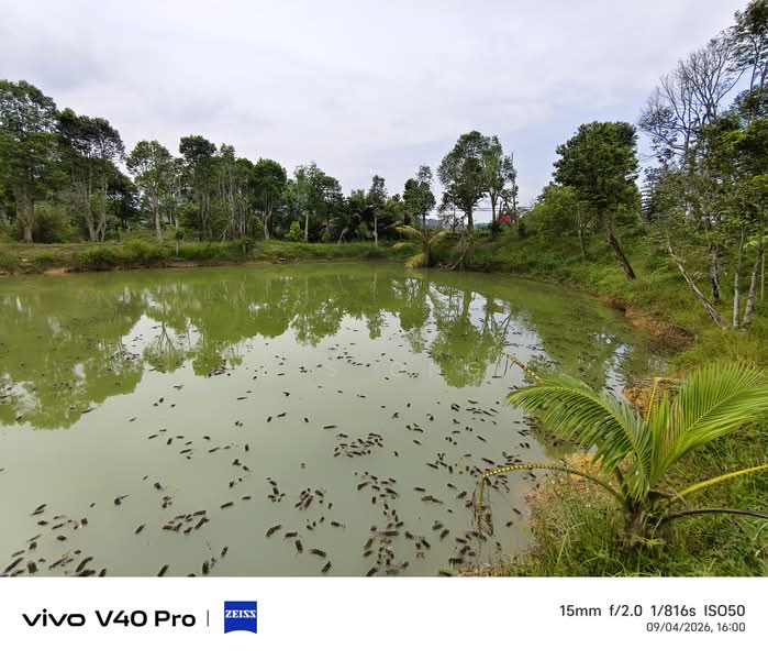 Agricultural Land for Sale in Johor Bahru (Johor) - K S Ong - PropertyGuru.com.my