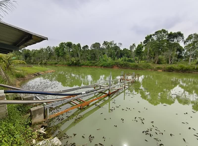 Agricultural Land for Sale in Johor Bahru (Johor) - K S Ong - PropertyGuru.com.my