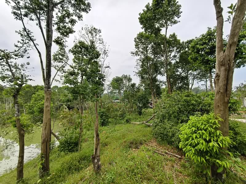 Agricultural Land for Sale in Johor Bahru (Johor) - K S Ong - PropertyGuru.com.my