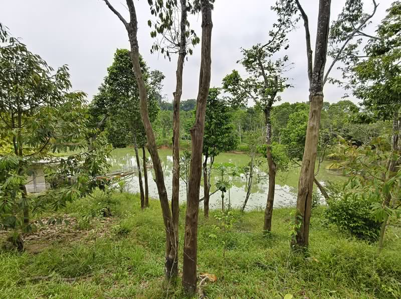 Agricultural Land for Sale in Johor Bahru (Johor) - K S Ong - PropertyGuru.com.my