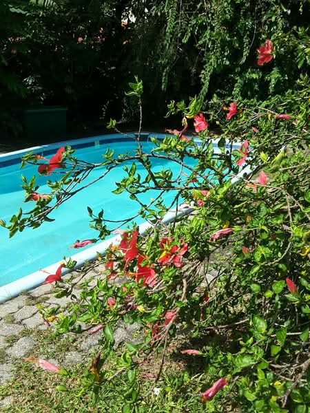 Bungalow House for Sale in Seksyen 11 (Shah Alam) - WAI YAN - PropertyGuru.com.my