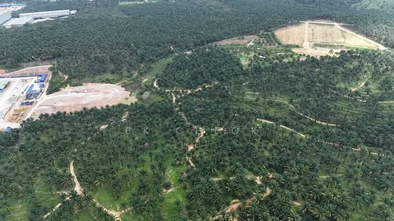 Agricultural Land for Sale in Ulu Choh (Jeram Batu) - BK Cheok - Exterior - PropertyGuru.com.my