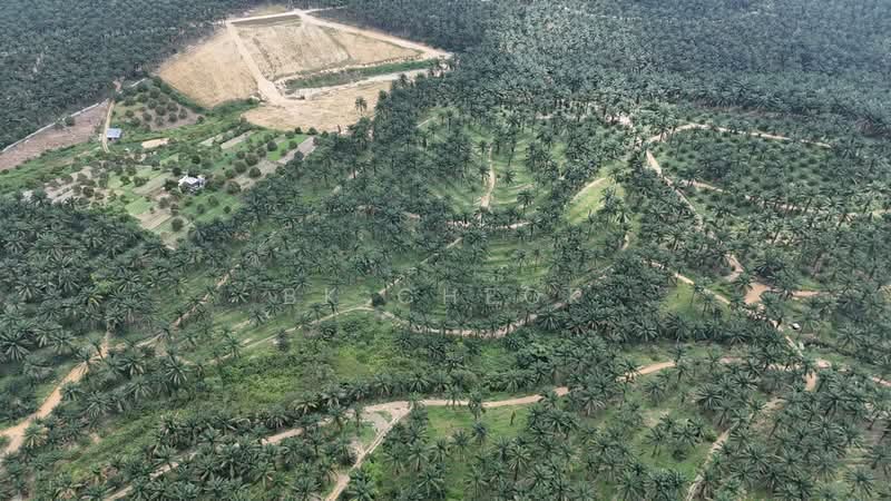 Agricultural Land for Sale in Ulu Choh (Jeram Batu) - BK Cheok - Exterior - PropertyGuru.com.my