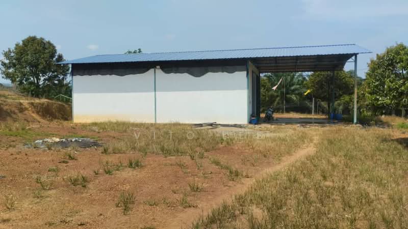 Agricultural Land for Sale in Simpang Pertang (Negeri Sembilan) - Vito Lee - PropertyGuru.com.my