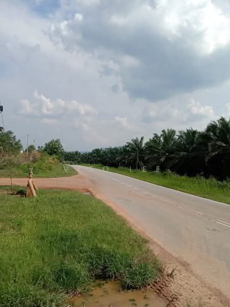 Agricultural Land for Sale in Simpang Pertang (Negeri Sembilan) - Vito Lee - PropertyGuru.com.my