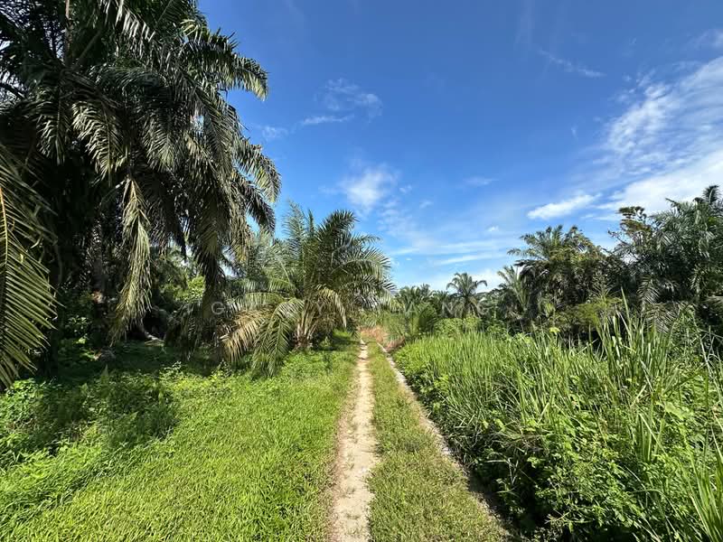 Agricultural Land for Sale in Taiping (Perak) - Gary Tang - Exterior - PropertyGuru.com.my