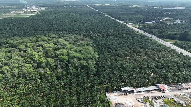 Agricultural Land for Sale in Taiping (Perak) - Gary Tang - Exterior - PropertyGuru.com.my