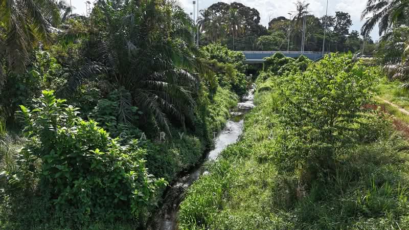 Agricultural Land for Sale in Taiping (Perak) - Gary Tang - Exterior - PropertyGuru.com.my