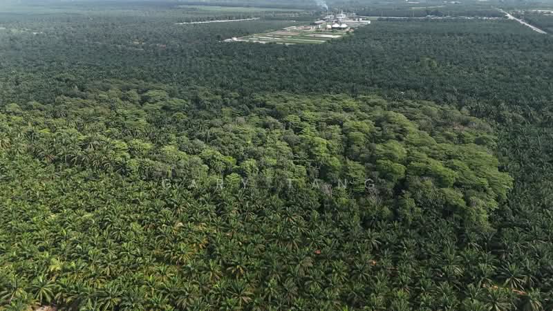 Agricultural Land for Sale in Taiping (Perak) - Gary Tang - PropertyGuru.com.my