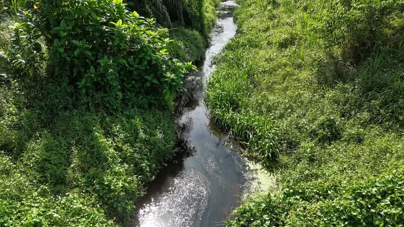 Agricultural Land for Sale in Taiping (Perak) - Gary Tang - Exterior - PropertyGuru.com.my