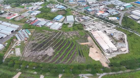 Kilang Terpisah untuk Dijual di Demak Laut (Kuching) - Sherene Kok - PropertyGuru.com.my