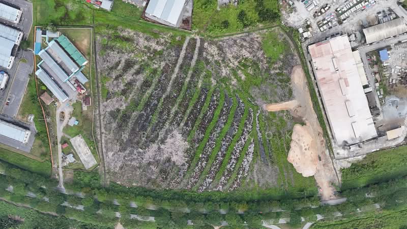 Kilang Terpisah untuk Dijual di Demak Laut (Kuching) - Sherene Kok - Exterior - PropertyGuru.com.my