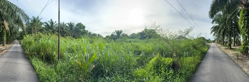 Tanah Kediaman untuk Dijual di Kampung Paya Keladi (Kepala Batas) - Atikah Salleh - PropertyGuru.com.my