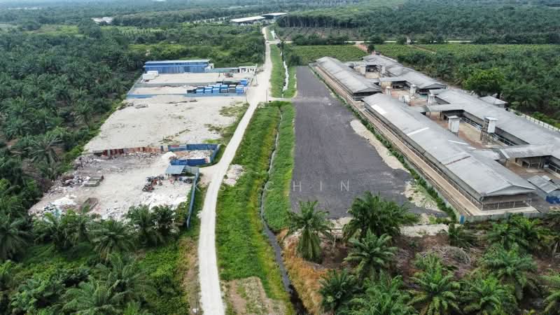 Tanah Perindustrian untuk Dijual di Tmn Perindustrian Pekan Nenas 1 (Pekan Nanas) - KS Chin - Exterior - PropertyGuru.com.my