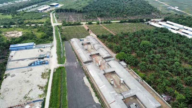 Tanah Perindustrian untuk Dijual di Tmn Perindustrian Pekan Nenas 1 (Pekan Nanas) - KS Chin - Exterior - PropertyGuru.com.my