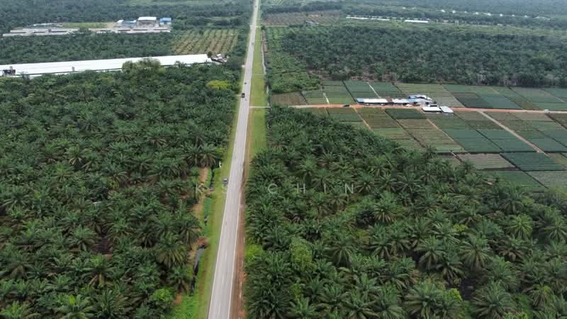 Tanah Perindustrian untuk Dijual di Tmn Perindustrian Pekan Nenas 1 (Pekan Nanas) - KS Chin - Exterior - PropertyGuru.com.my