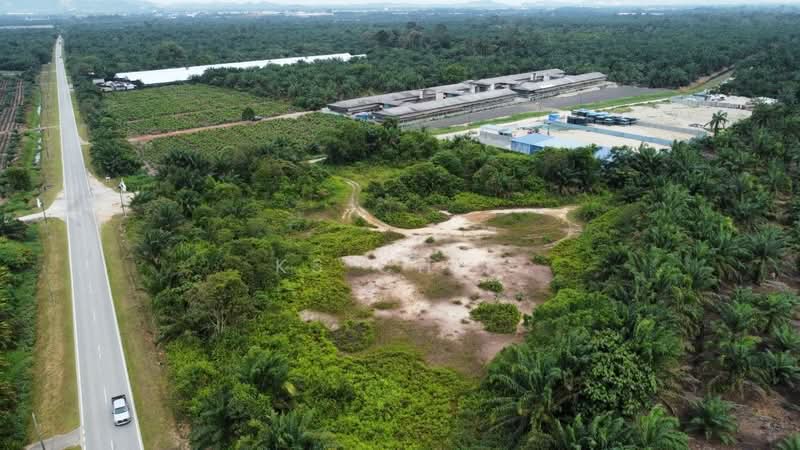 Tanah Perindustrian untuk Dijual di Tmn Perindustrian Pekan Nenas 1 (Pekan Nanas) - KS Chin - Exterior - PropertyGuru.com.my