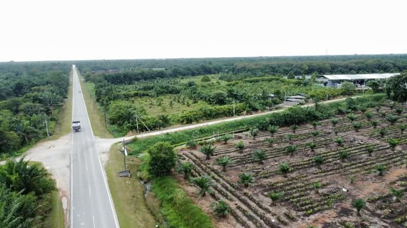 Tanah Perindustrian untuk Dijual di Tmn Perindustrian Pekan Nenas 1 (Pekan Nanas) - KS Chin - PropertyGuru.com.my