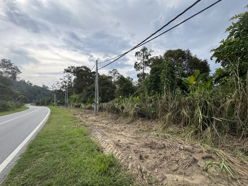 Agricultural Land for Sale in Bentong (Pahang) - Harry Chin - PropertyGuru.com.my