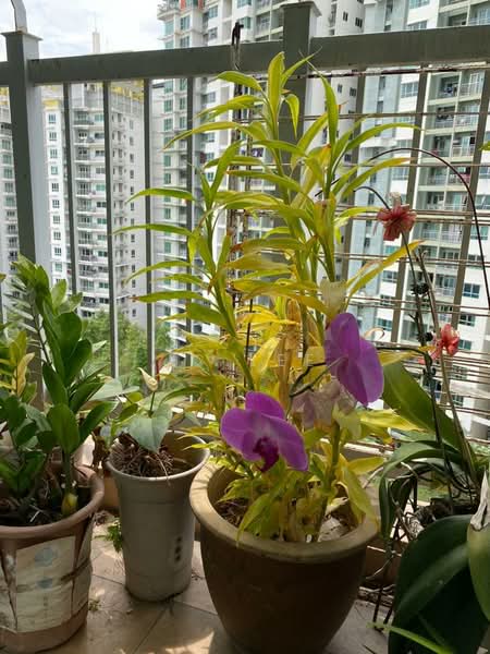 Kediaman Servis untuk Dijual di Metropolitan Square Service Residence - Jc Lee - Balcony - PropertyGuru.com.my