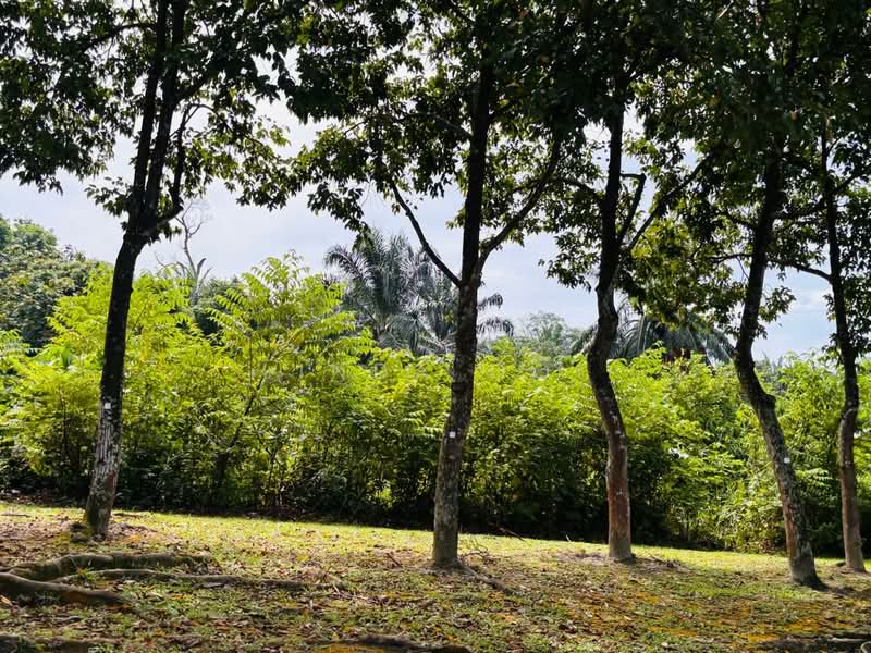 Tanah Komersial untuk Dijual di Cyberjaya (Selangor) - Linda Ooi - Exterior - PropertyGuru.com.my