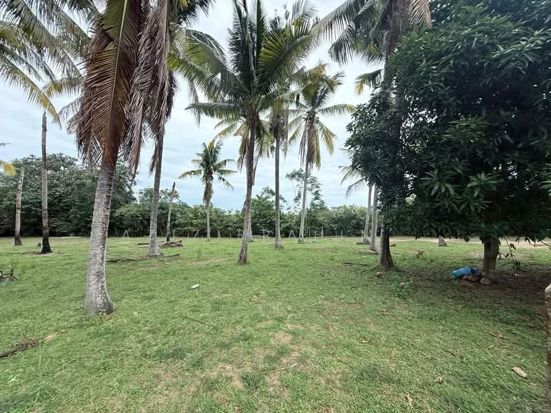 Residential Land for Sale in Alor Gajah (Melaka) - Azizirrahim . - Garden - PropertyGuru.com.my