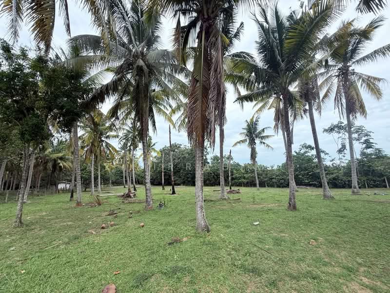 Residential Land for Sale in Alor Gajah (Melaka) - Azizirrahim . - Garden - PropertyGuru.com.my